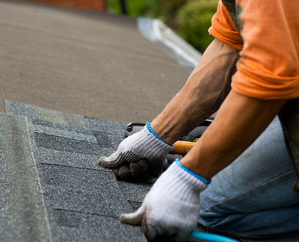 Best Flat Roof Repair Services  in Delshire, OH