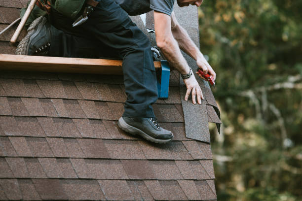 Best Local Roofing Companies  in Delshire, OH